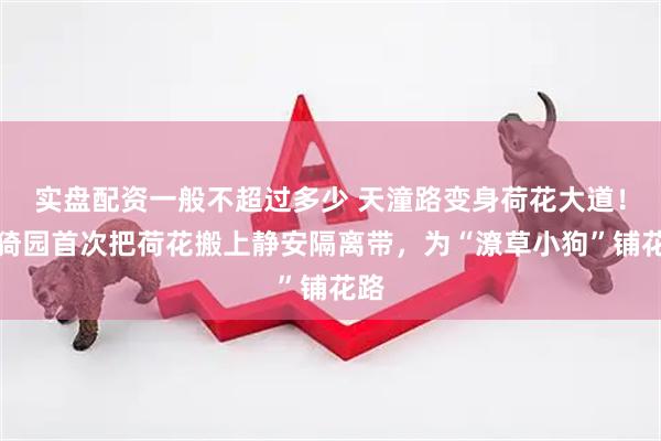 实盘配资一般不超过多少 天潼路变身荷花大道！古猗园首次把荷花搬上静安隔离带，为“潦草小狗”铺花路